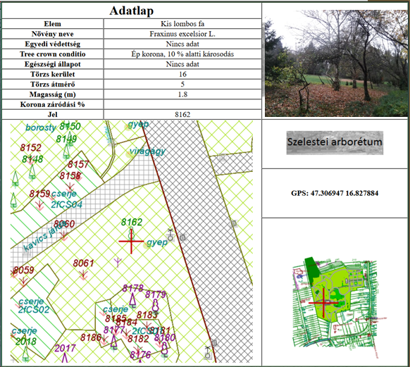 Arborétum Szeleste mobilapp